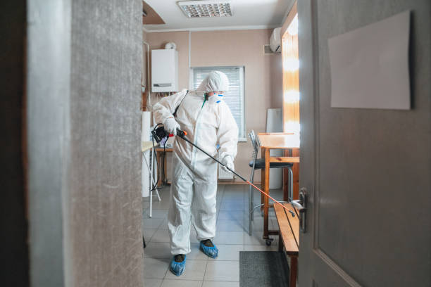 Professional Mold Removal in Rosebud, SD