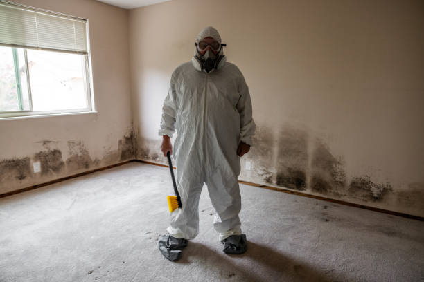 Best Basement Mold Removal  in Rosebud, SD